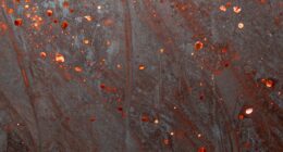 bearing wear signal indicators