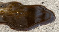 contaminated new oil
