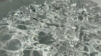 fluid properties affect gear shifts