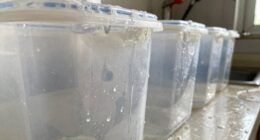 rinsing containers backfires