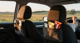 12 Best Car Seat Back Organizers in 2026