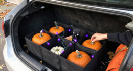 15 Best Halloween Trunk-or-Treat Decorations for Cars in 2027